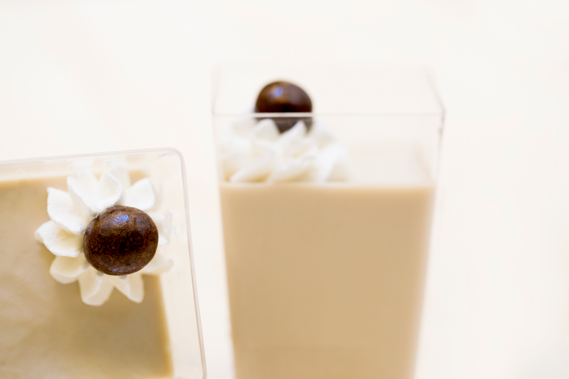 Gelatina animale vs agar: differenze e similitudini tra i gelificanti più chiacchierati in pasticceria